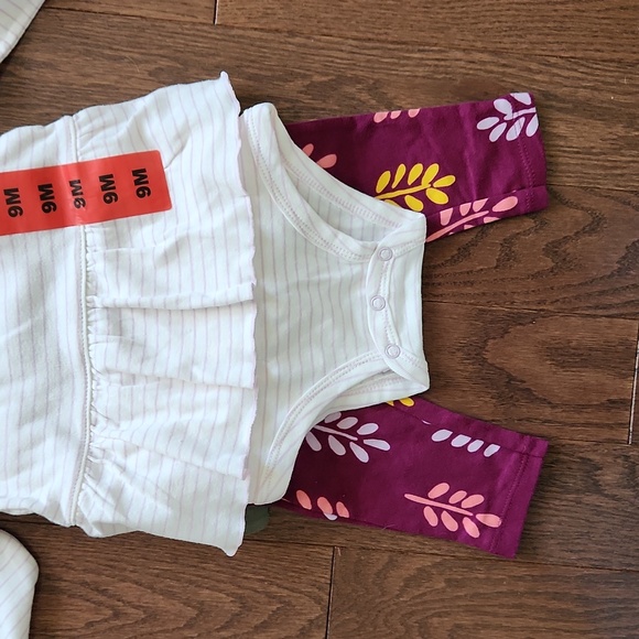 Carter's Girls Outfits - BNWT - Striped, Butterfly & Flowers Design - 9 Months - Picture 3 of 7